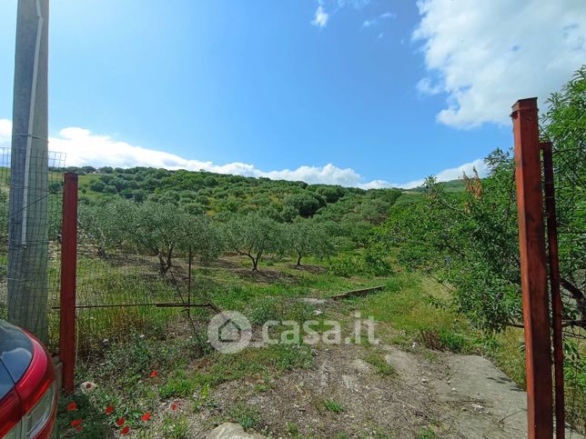 Terreno agricolo in commerciale in Contrada bizzoli