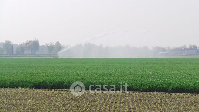 Terreno agricolo in commerciale in Via dei Geroni