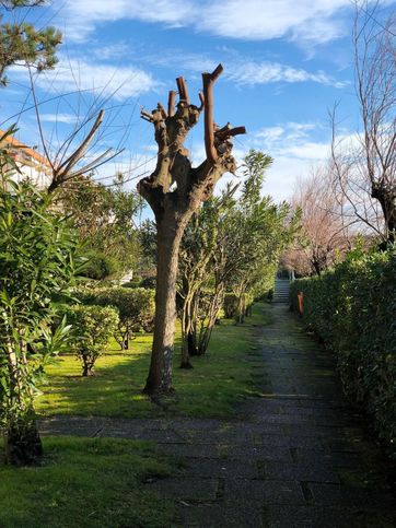 Appartamento in residenziale in Via delle Nazioni Unite