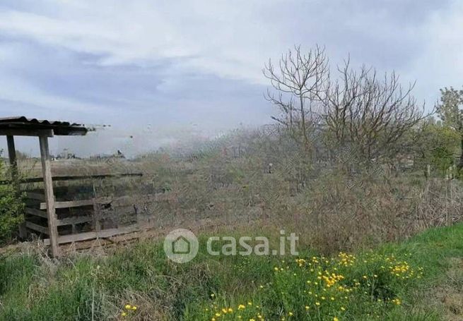 Terreno agricolo in commerciale in Via Po