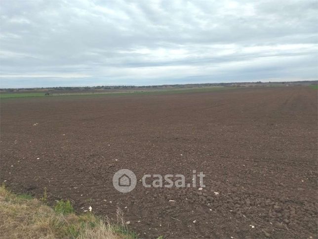 Terreno agricolo in commerciale in 