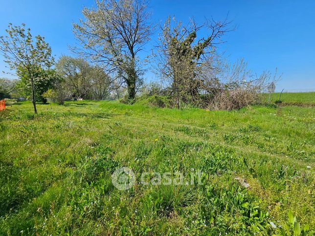 Terreno agricolo in commerciale in Strada VICINALE CANTA 1