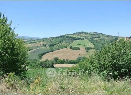 Terreno agricolo in commerciale in Contrada Paterno