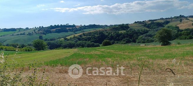 Terreno agricolo in commerciale in Via Collefiore