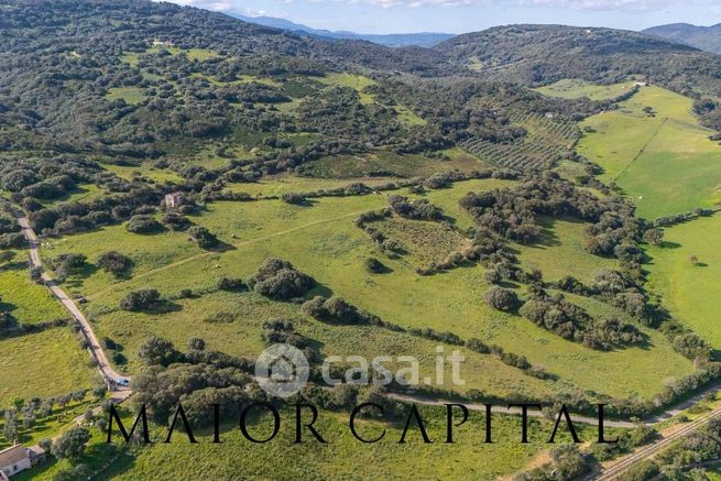 Terreno agricolo in commerciale in Strada Provinciale 14