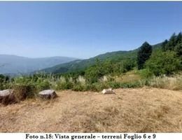 Terreno agricolo in commerciale in Via Colla