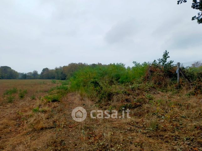 Terreno agricolo in commerciale in Via Trana