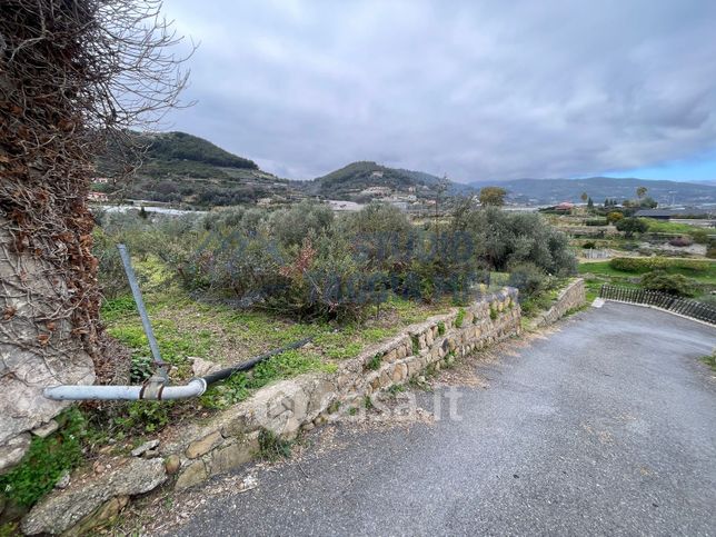 Terreno agricolo in commerciale in 