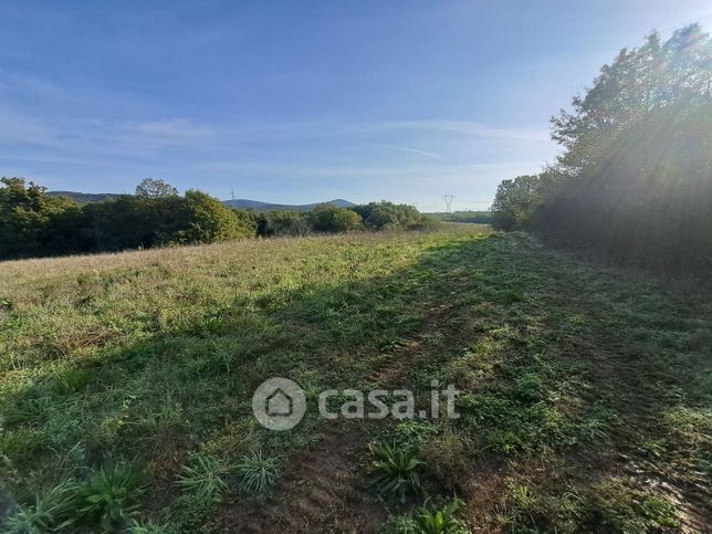 Terreno agricolo in commerciale in Macchie