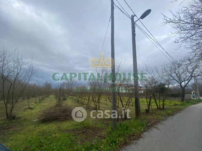 Terreno agricolo in commerciale in Corso Italia