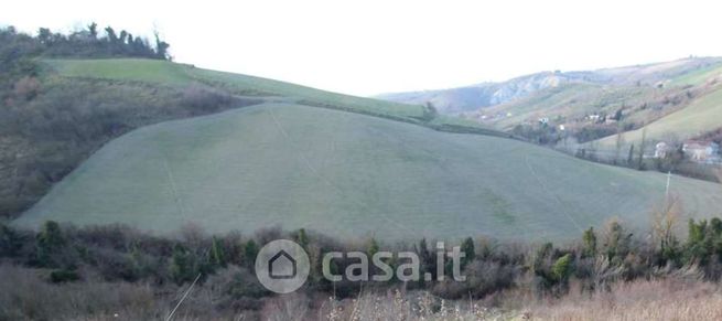 Terreno agricolo in commerciale in Via Rio Cozzi