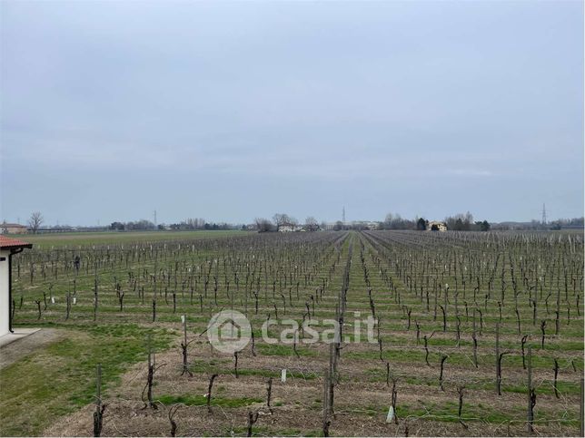 Terreno agricolo in commerciale in