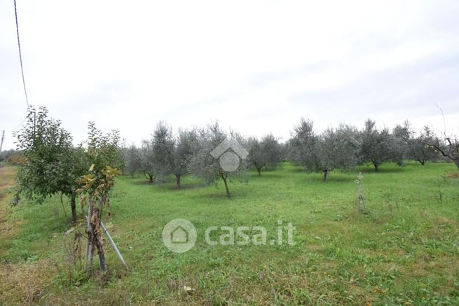 Terreno agricolo in commerciale in Via Tavernelle