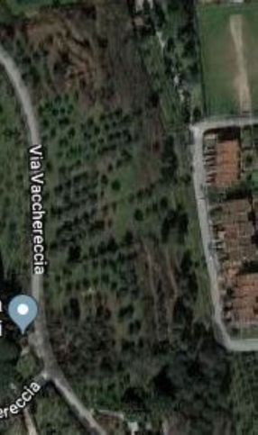 Terreno agricolo in commerciale in Via Vacchereccia