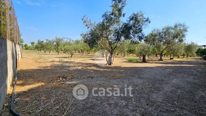 Terreno agricolo in commerciale in Via Vittorio de Sica 12