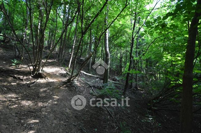 Terreno agricolo in commerciale in Via Manzoni