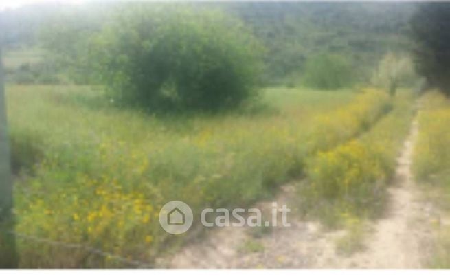 Terreno agricolo in commerciale in Strada Senza Nome