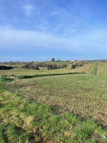 Terreno agricolo in commerciale in Via Casale di Castellaccio 30