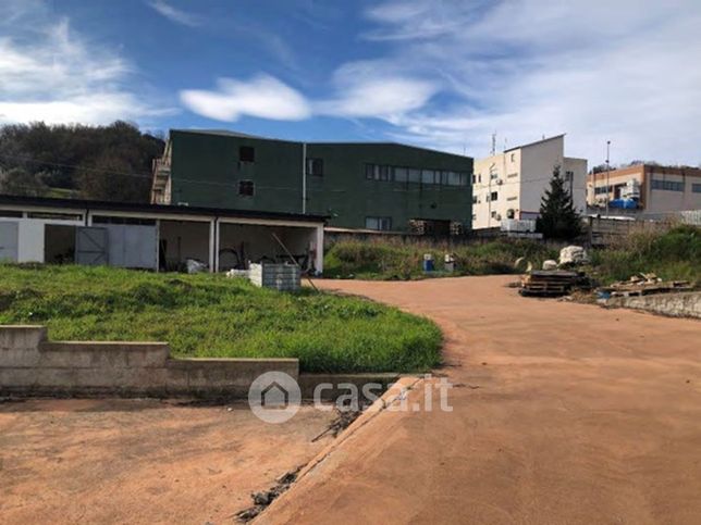 Terreno agricolo in commerciale in Contrada Piano di Maio