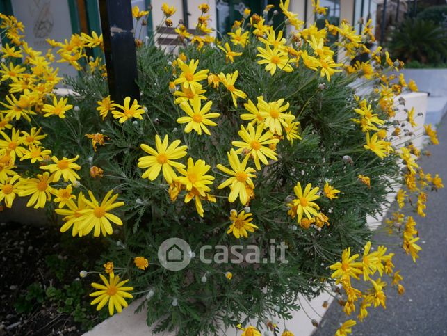 Attivitã /licenza (con o senza mura) in commerciale in Strada Statale 1