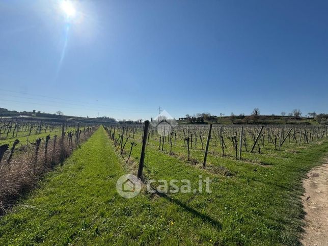 Terreno edificabile in residenziale in Via Cerea 1
