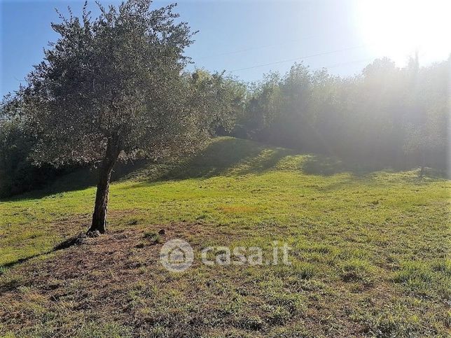 Terreno agricolo in commerciale in Via di Poggio Seconda