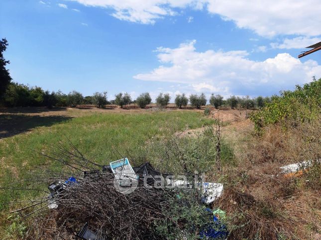 Terreno agricolo in commerciale in Via Cherasco