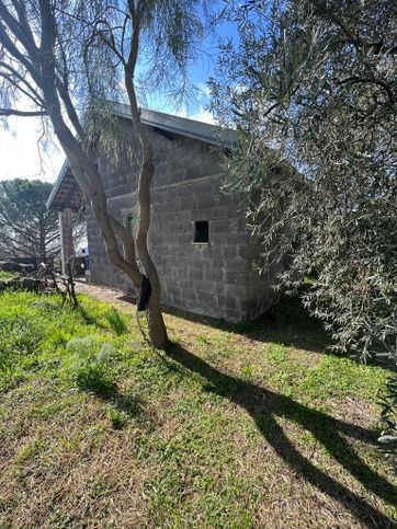 Terreno agricolo in commerciale in sp 160