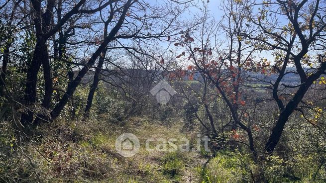 Terreno agricolo in commerciale in Via delle Fossette