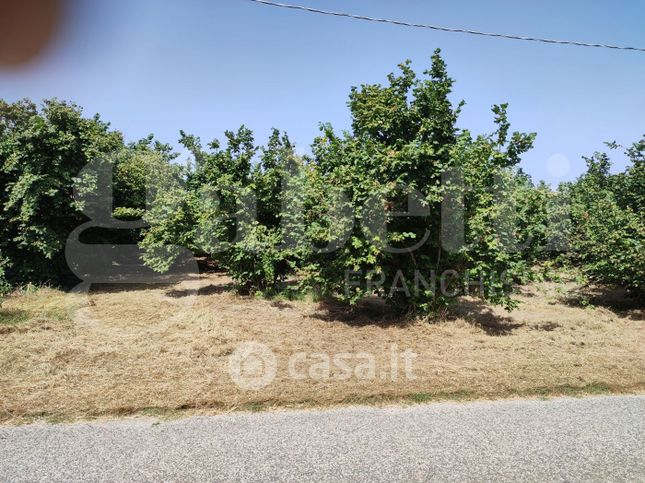 Terreno agricolo in commerciale in Strada Loiano