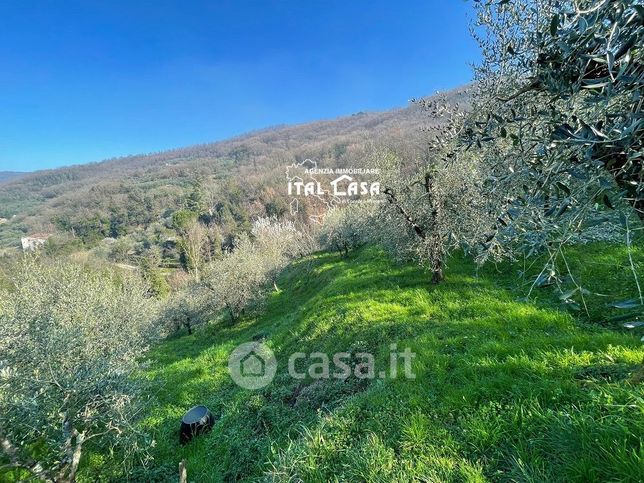 Terreno agricolo in commerciale in Via Rio Bechini