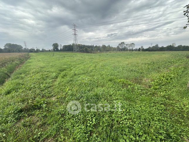 Terreno agricolo in commerciale in Via della Lepre 1