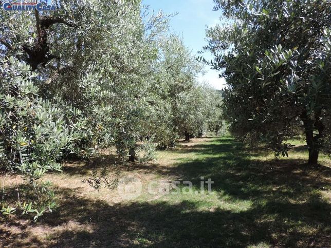 Terreno agricolo in commerciale in Via Giacomo Leopardi