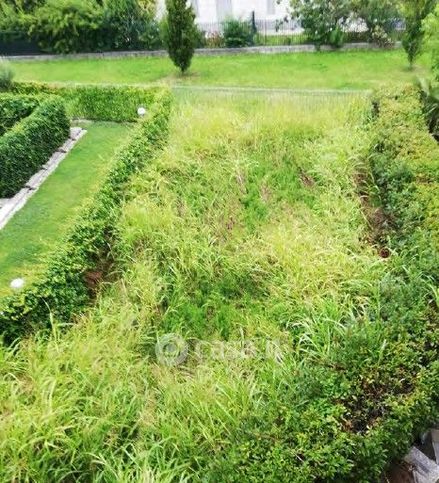 Terreno agricolo in commerciale in Via Antonio Dossi