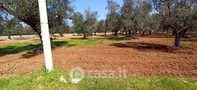 Terreno agricolo in commerciale in Strada Provinciale 28