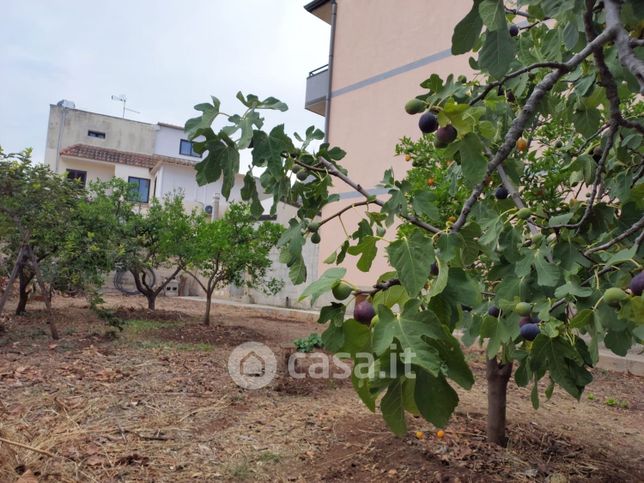 Terreno agricolo in commerciale in Strada Statale 115