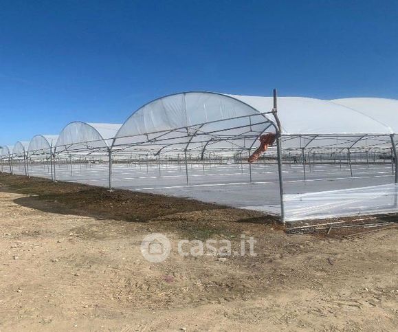 Terreno agricolo in commerciale in 