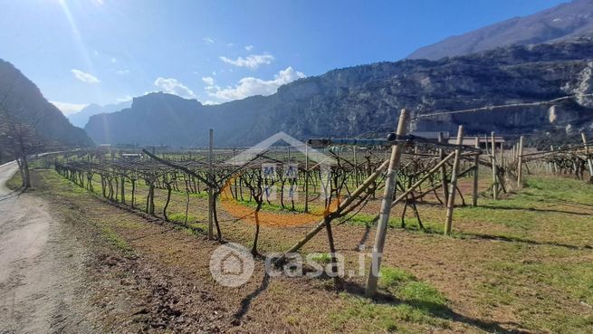 Terreno agricolo in commerciale in Località alle Pergole