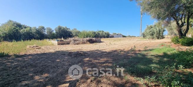 Terreno agricolo in commerciale in Via delle Viole 2