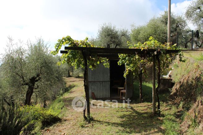 Terreno agricolo in commerciale in Via Casorino