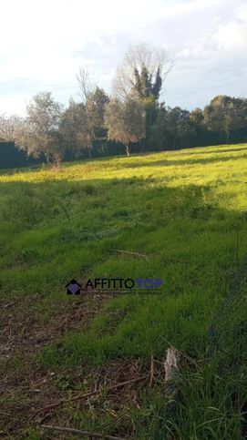 Terreno agricolo in commerciale in Via dei Mori