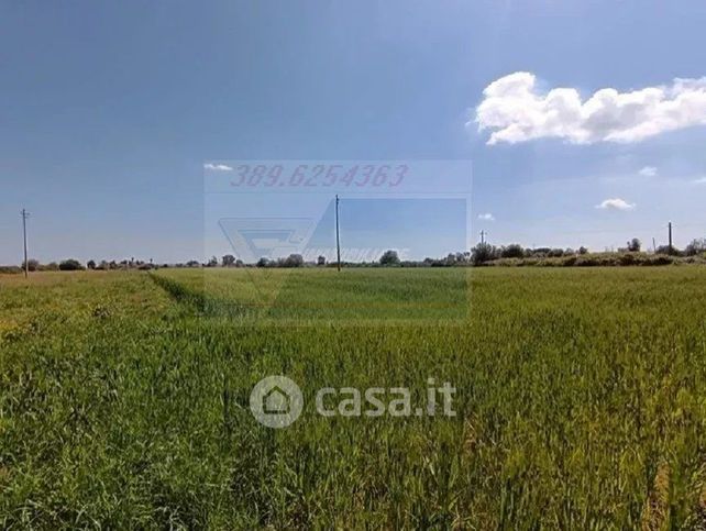 Terreno edificabile in residenziale in Strada Benali