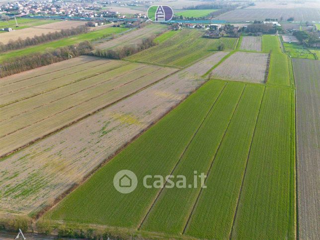 Terreno agricolo in commerciale in Via Albarea 63