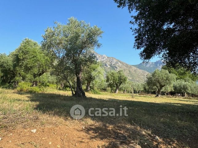 Terreno agricolo in commerciale in Strada Bonifica Romana