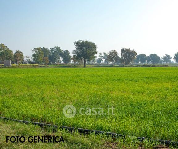 Terreno agricolo in commerciale in Via della Casaccia