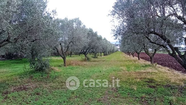 Terreno agricolo in commerciale in zona industriale maierato