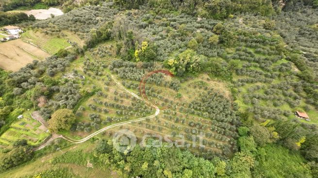 Terreno agricolo in commerciale in Località Ceole