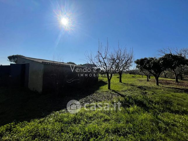 Terreno agricolo in commerciale in 