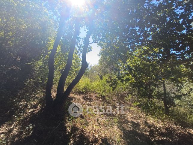 Terreno edificabile in residenziale in Strada Privata Muretto