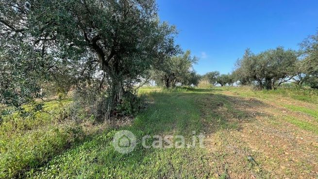 Terreno agricolo in commerciale in Contrada Campo